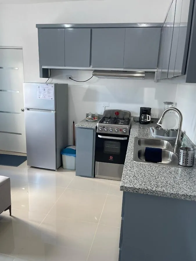 Plataview Apartahotel Apt 3C 산토도밍고